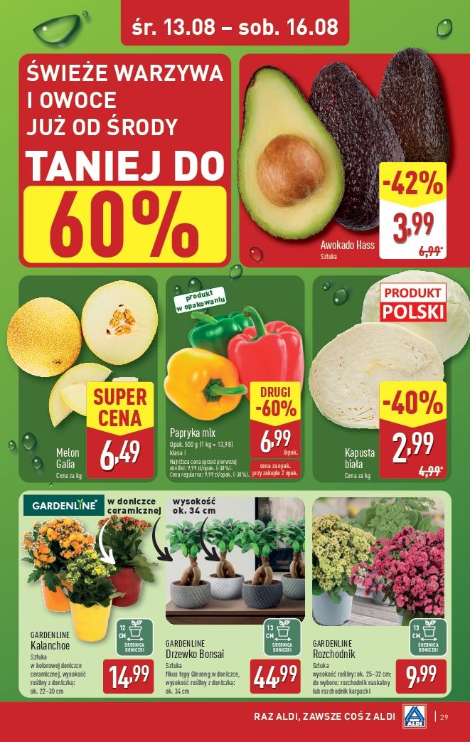 Gazetka promocyjna ALDI do 16/08/2025 str.29