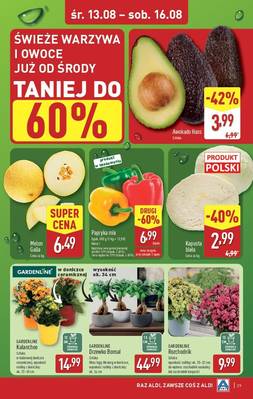 Katalog Aldi 