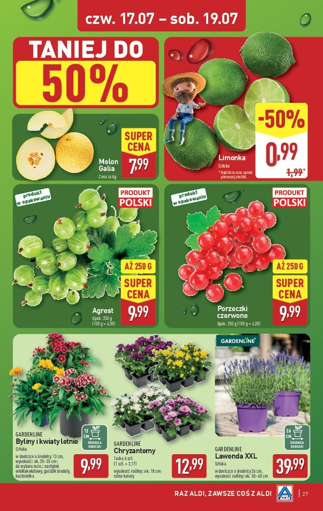 Gazetka promocyjna ALDI do 19/07/2025 str.27