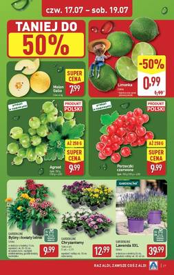 Katalog Aldi 