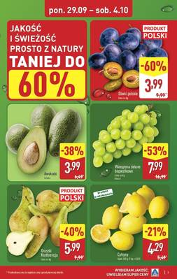 Katalog Aldi 