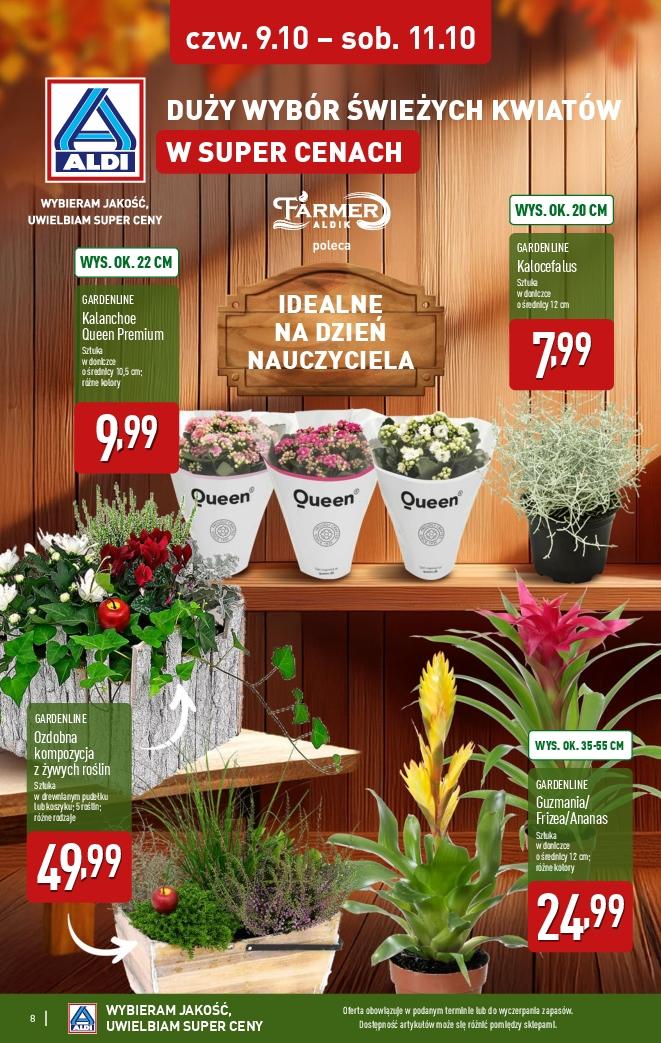 Gazetka promocyjna ALDI do 11/10/2025 str.8