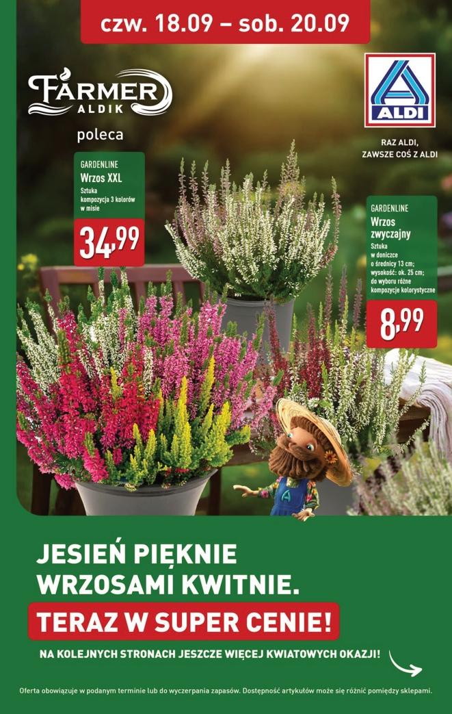 Gazetka promocyjna ALDI do 20/09/2025 str.33