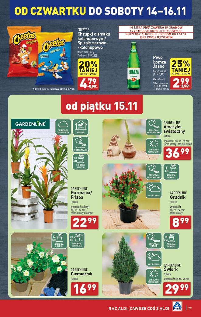 Gazetka promocyjna ALDI do 16/11/2024 str.29