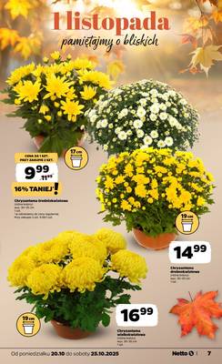 Netto od poniedziałku