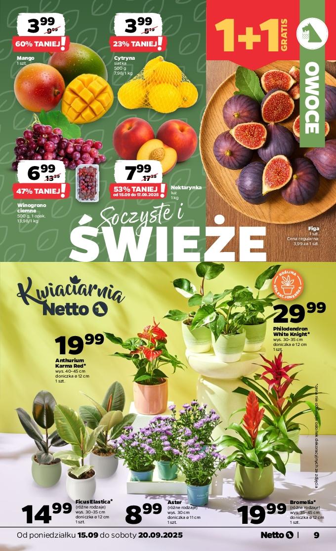 Gazetka promocyjna Netto do 20/09/2025 str.9