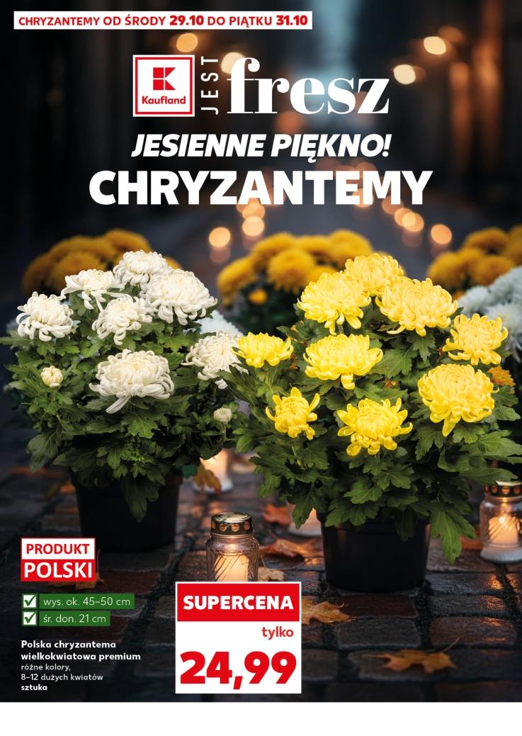 Gazetka promocyjna Kaufland do 31/10/2025 str.14