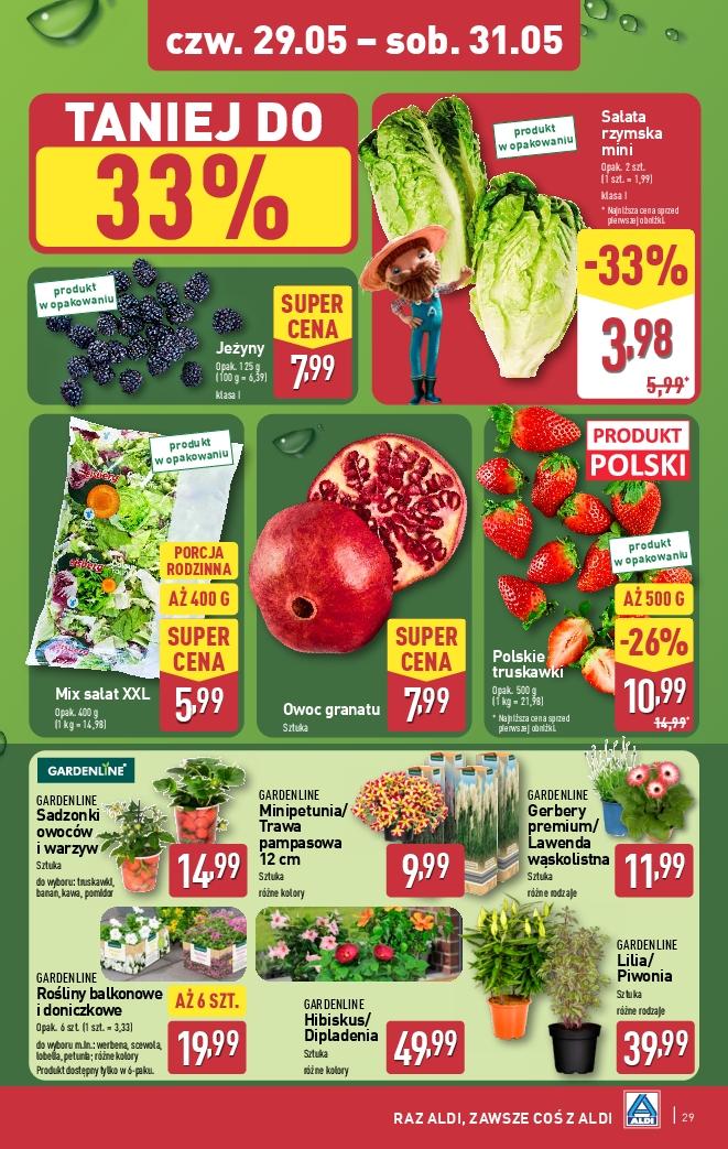 Gazetka promocyjna ALDI do 31/05/2025 str.29