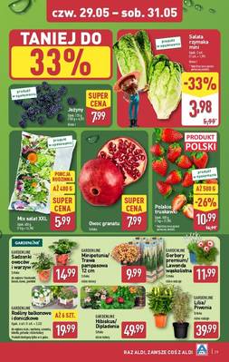 Katalog Aldi 