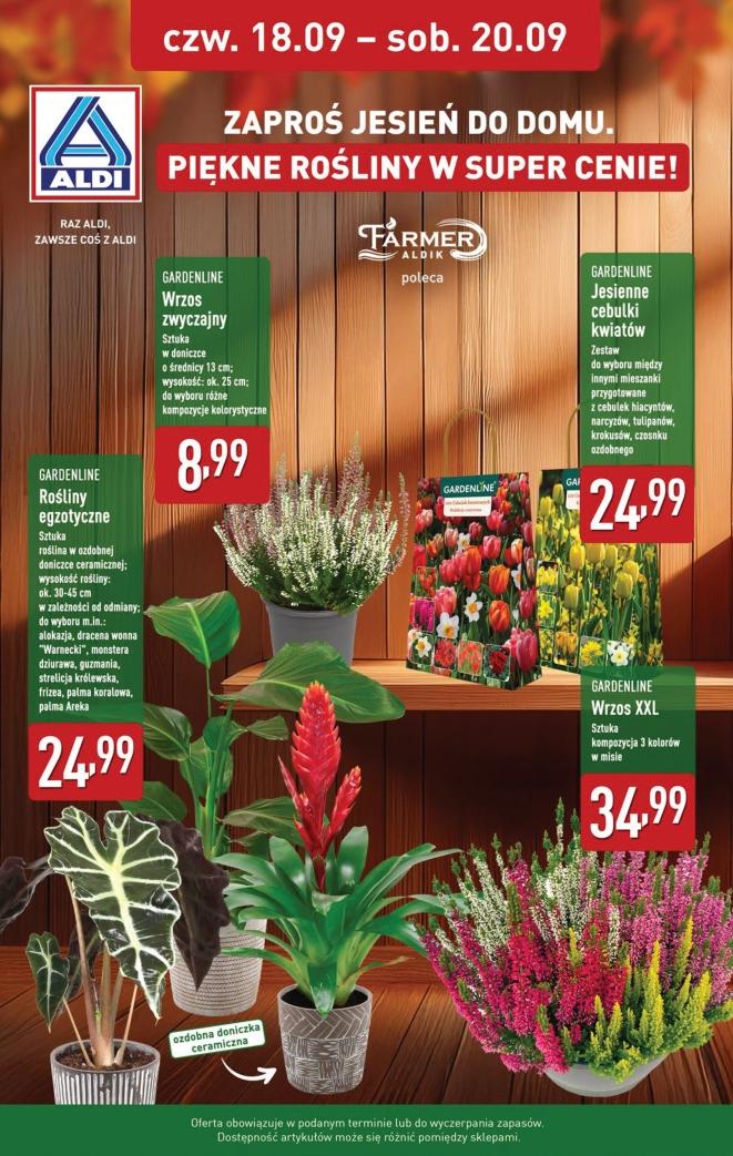 Gazetka promocyjna ALDI do 20/09/2025 str.34
