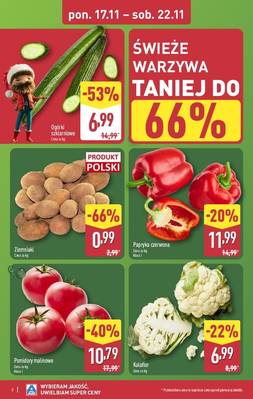 Katalog ALdi 