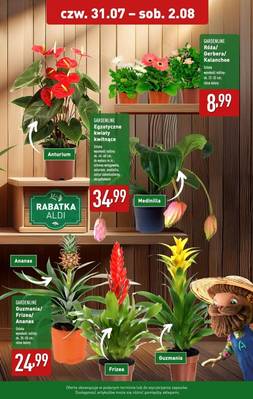 Katalog Aldi
