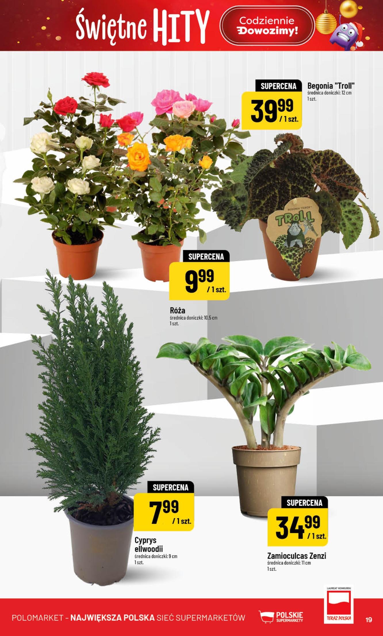 Gazetka promocyjna POLOmarket do 18/11/2025 str.19