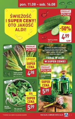Katalog Aldi 