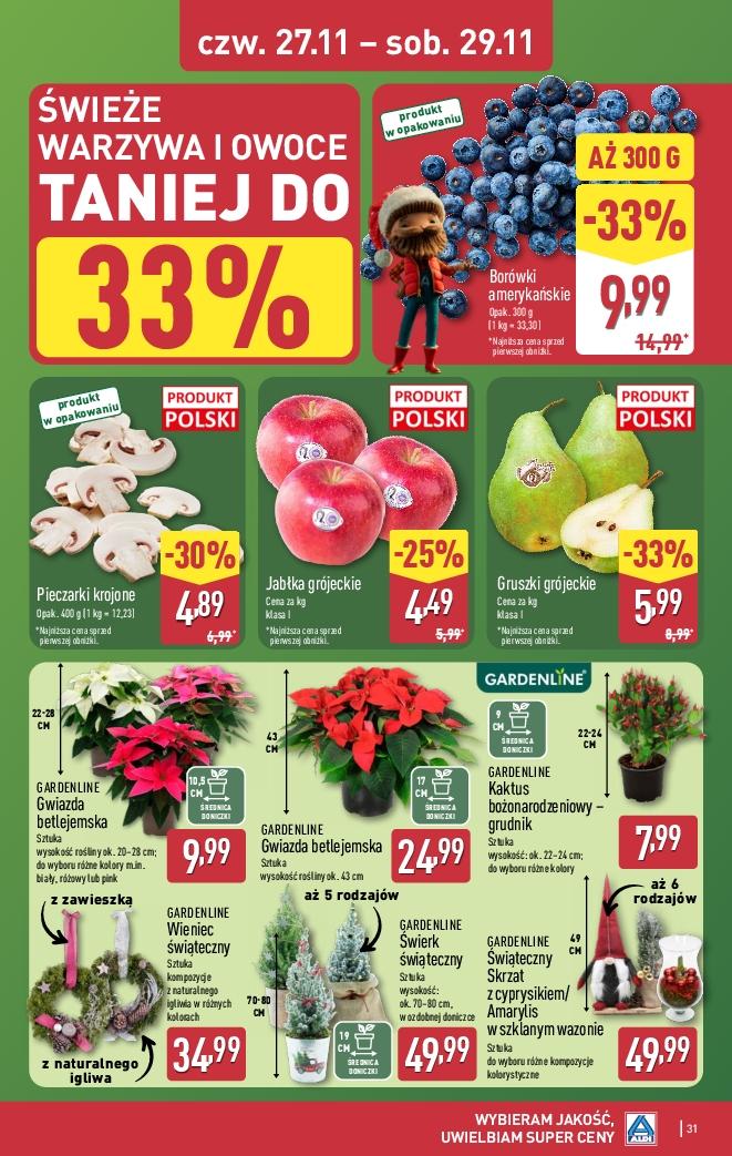 Gazetka promocyjna ALDI do 29/11/2025 str.31