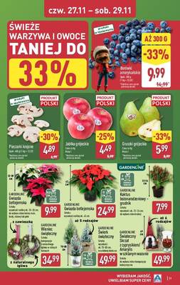 Aldi Katalog 