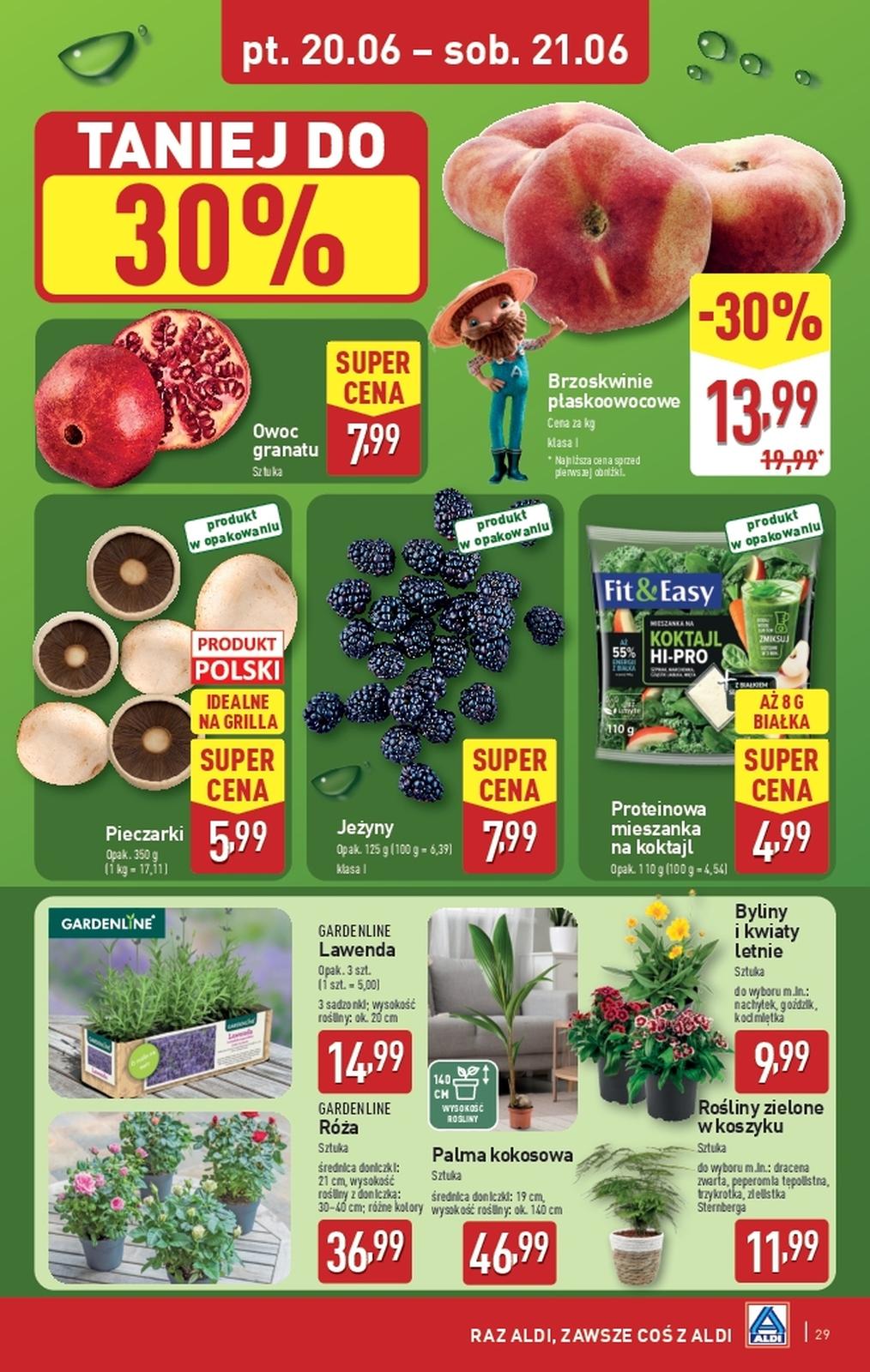Gazetka promocyjna ALDI do 21/06/2025 str.29