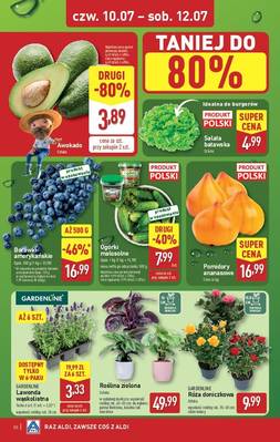 Katalog Aldi 