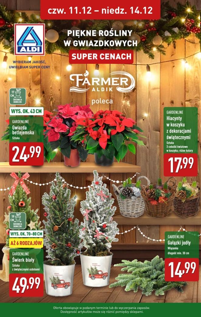 Gazetka promocyjna ALDI do 14/12/2025 str.38