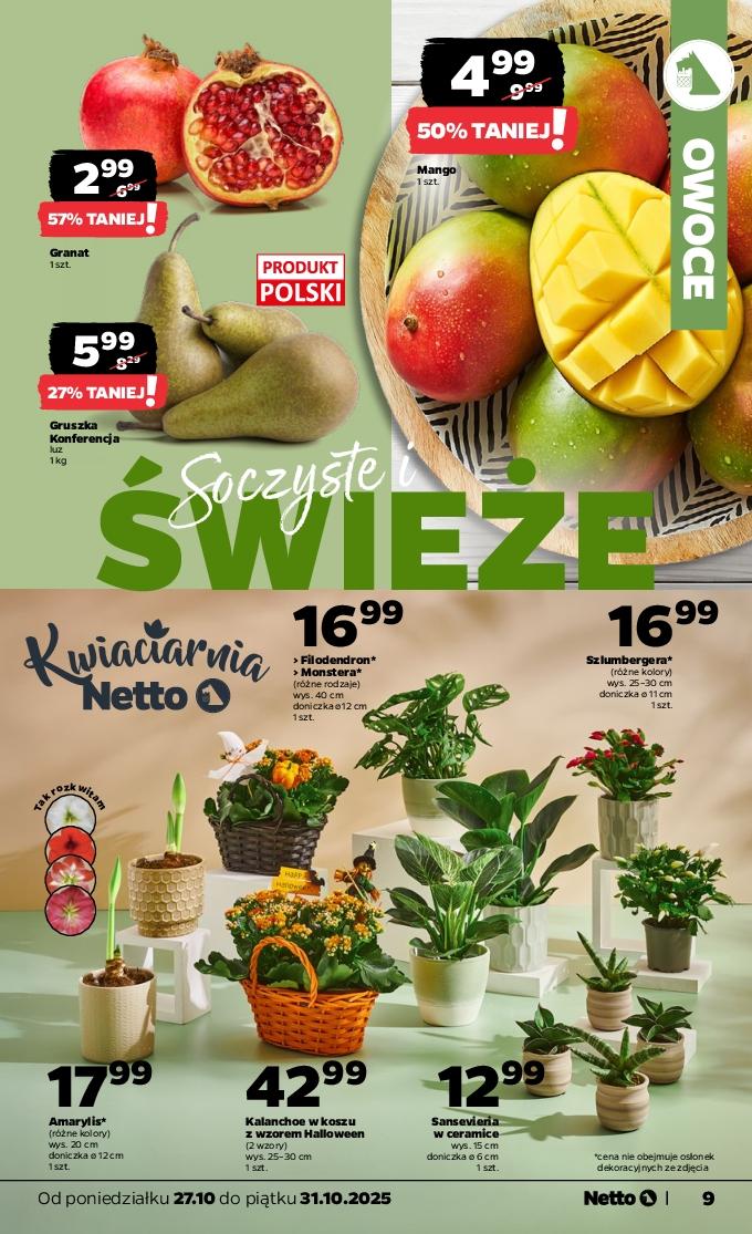 Gazetka promocyjna Netto do 31/10/2025 str.9