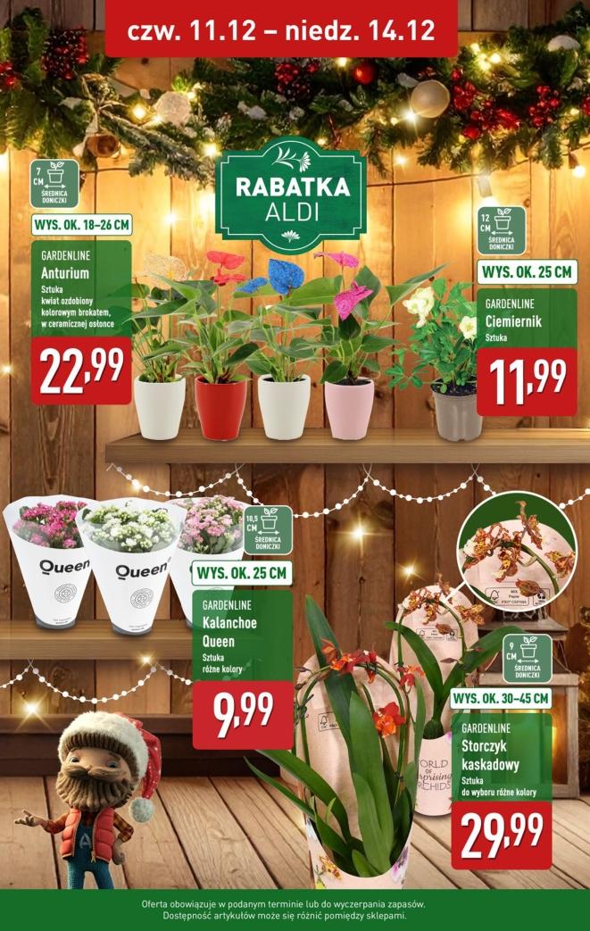 Gazetka promocyjna ALDI do 14/12/2025 str.39