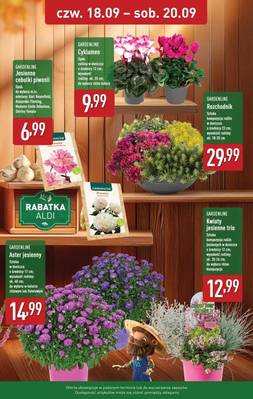 Katalog Aldi 