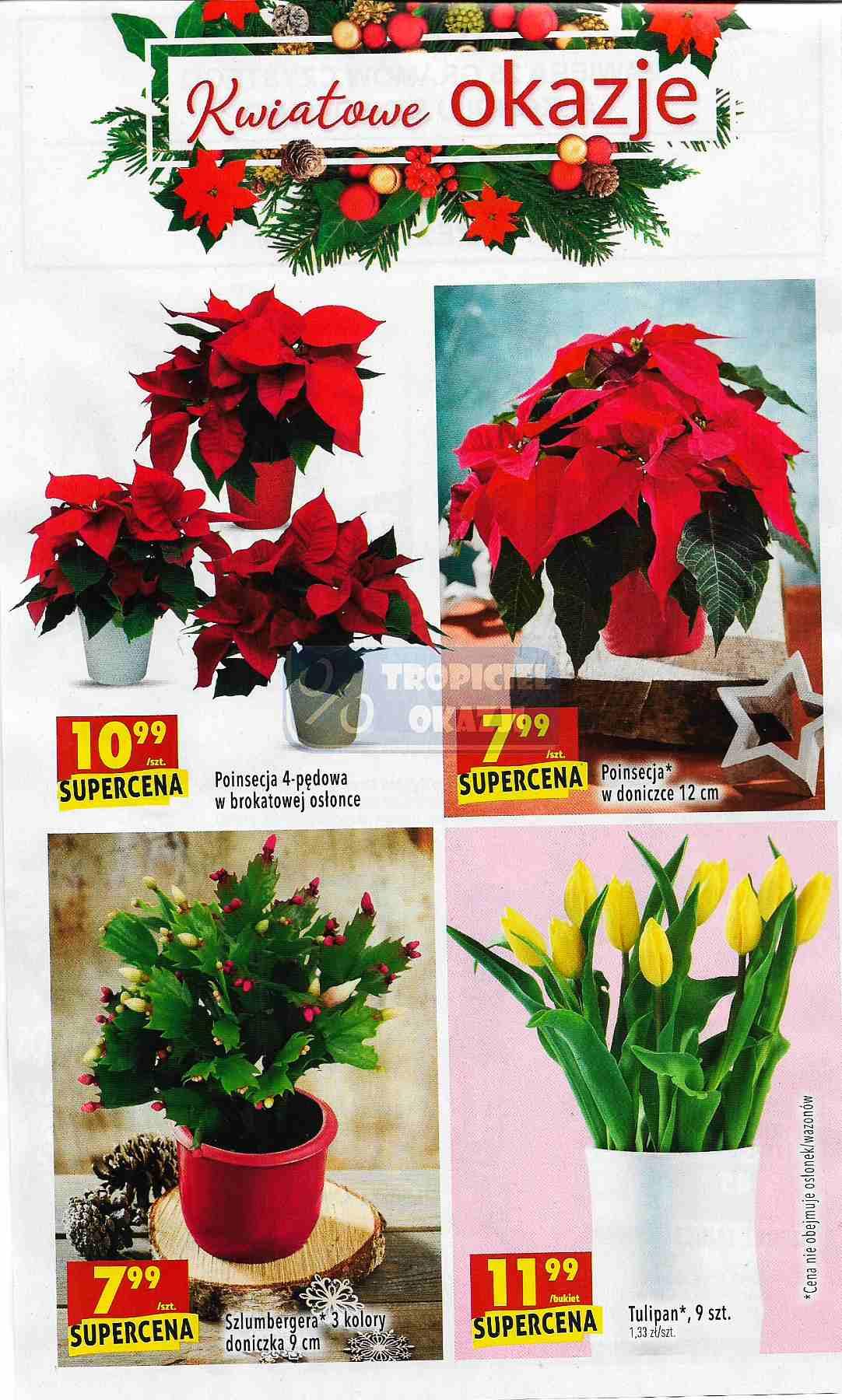 Gazetka promocyjna Biedronka do 12/12/2018 str.60