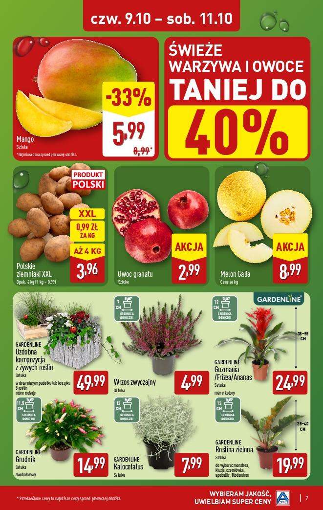 Gazetka promocyjna ALDI do 11/10/2025 str.7