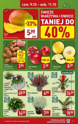 Aldi super ceny 
