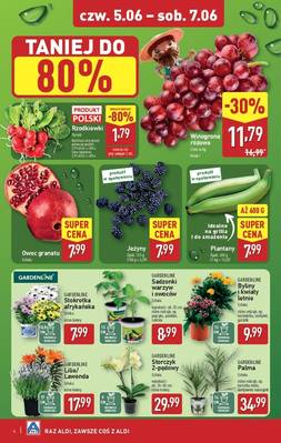 Aldi weekend 