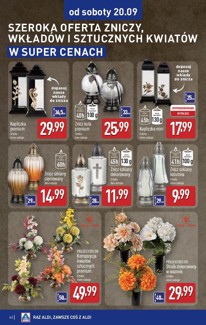 Gazetka promocyjna ALDI do 20/09/2025 str.42