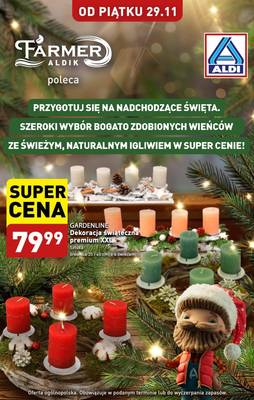 Aldi wieńce 