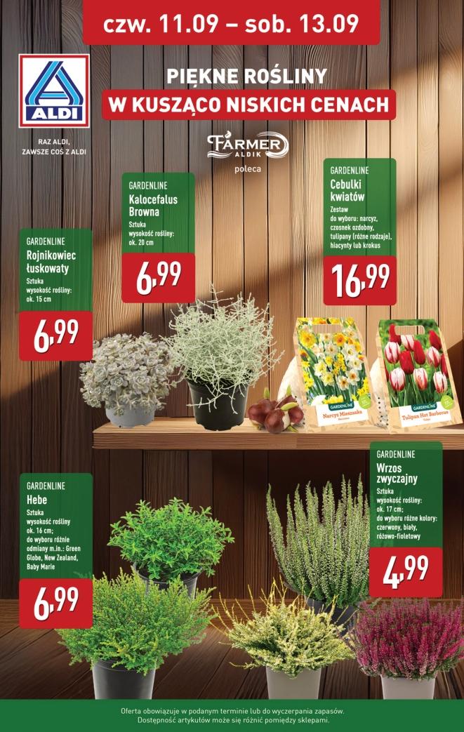Gazetka promocyjna ALDI do 13/09/2025 str.8
