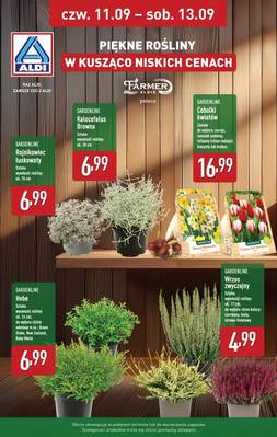 Aldi weekend 