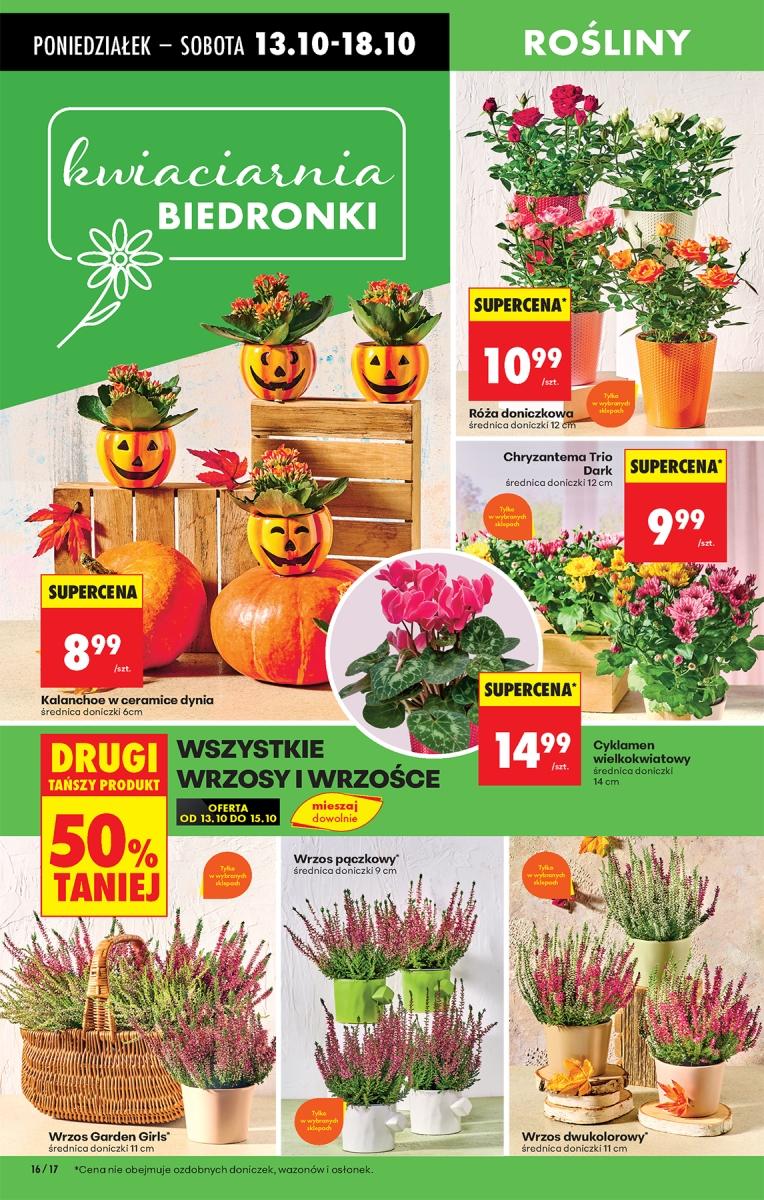 Gazetka promocyjna Biedronka do 18/10/2025 str.15