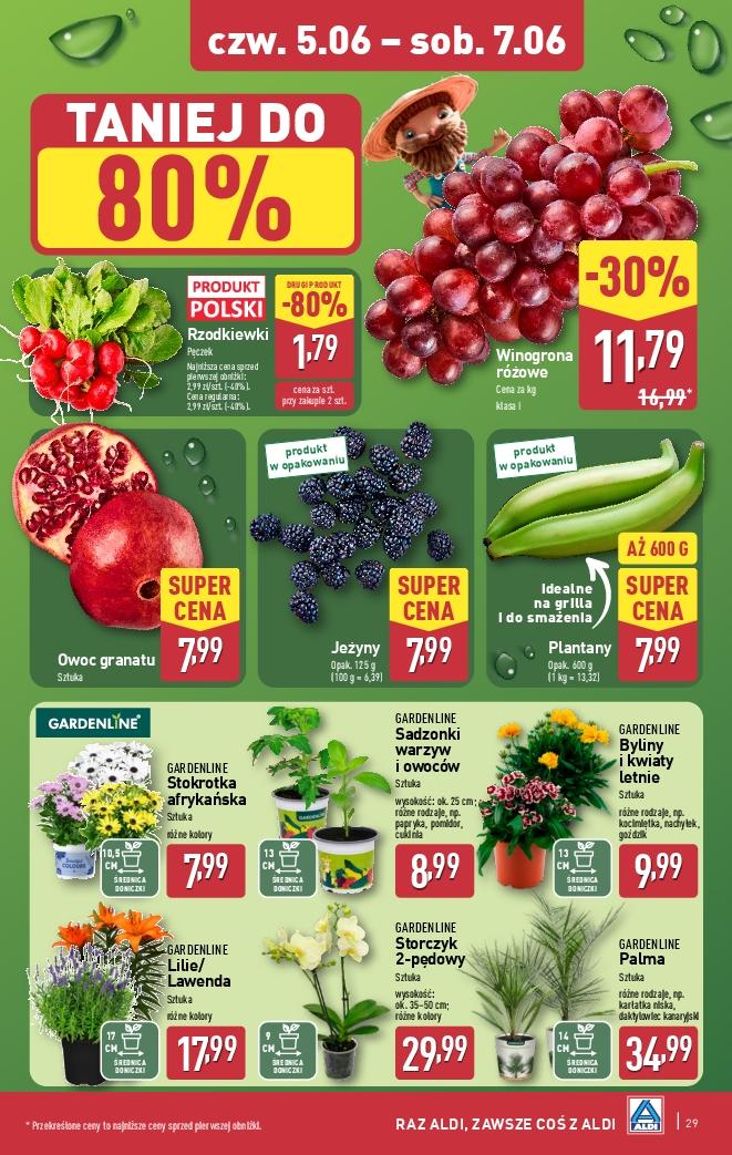 Gazetka promocyjna ALDI do 07/06/2025 str.29