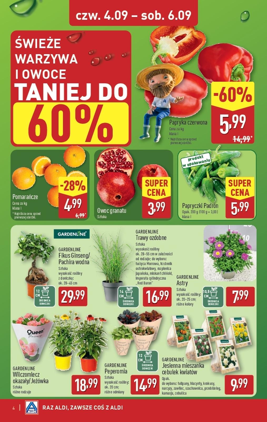 Gazetka promocyjna ALDI do 06/09/2025 str.4