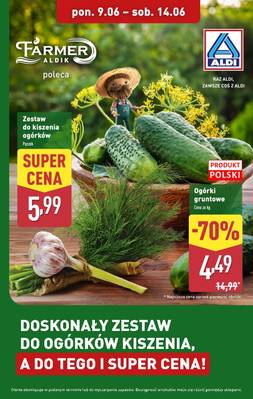 Aldi ogórki 