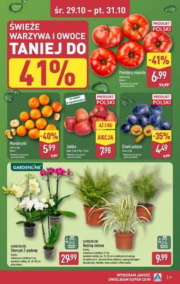 Aldi Katalog