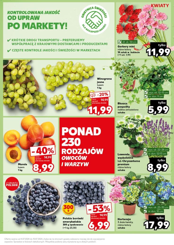 Gazetka promocyjna Kaufland do 10/07/2024 str.11