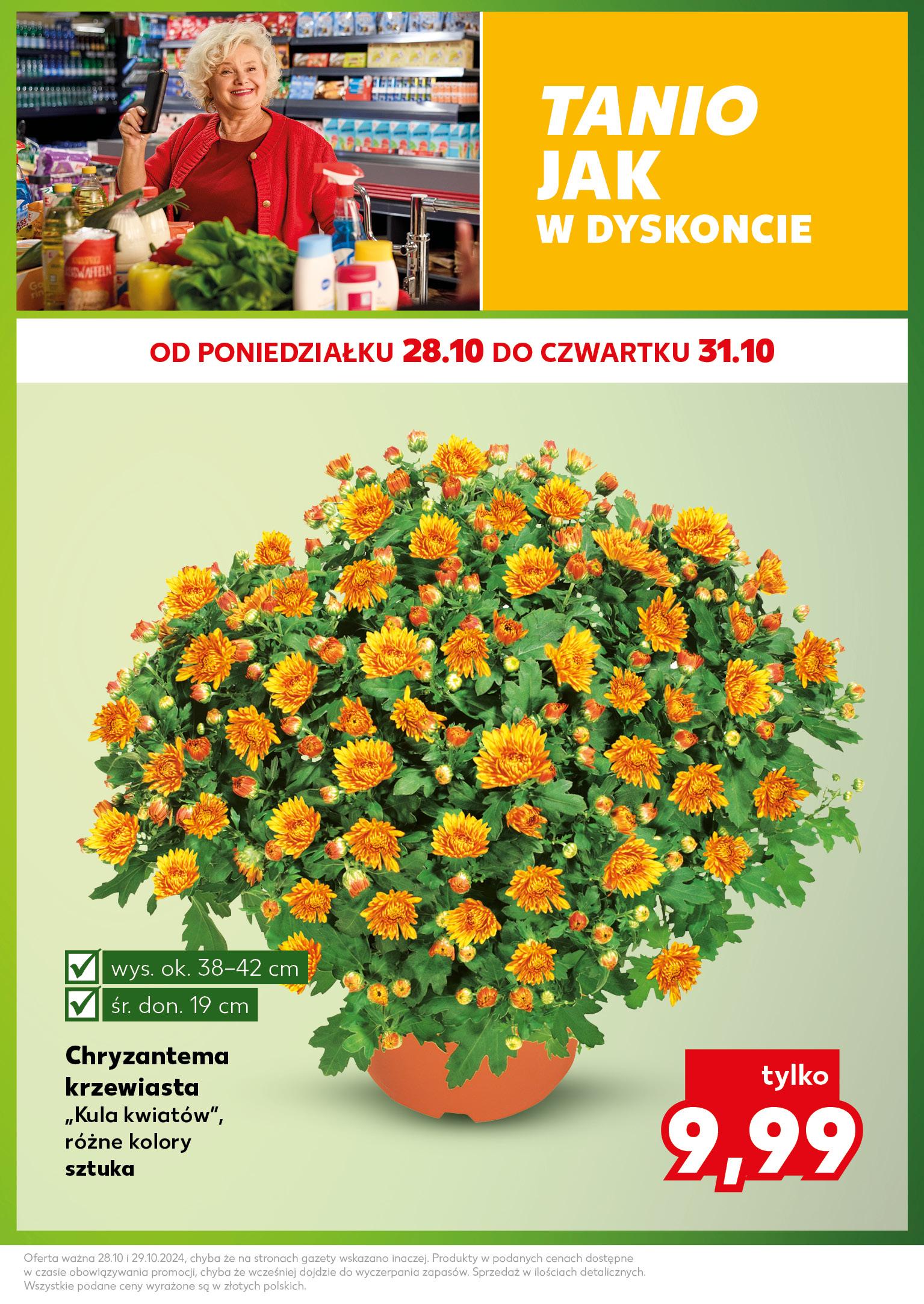 Gazetka promocyjna Kaufland do 29/10/2024 str.3