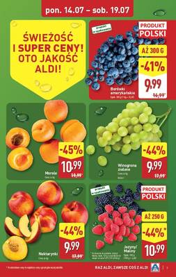 Katalog Aldi 