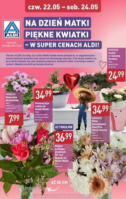 Aldi weekend