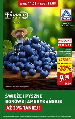 ALDI gazetka - od 11/08/2025 do 16/08/2025