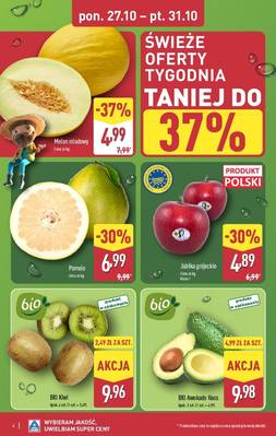 Aldi Katalog
