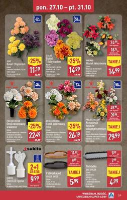 Aldi Katalog