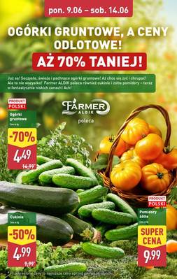 Katalog Aldi 