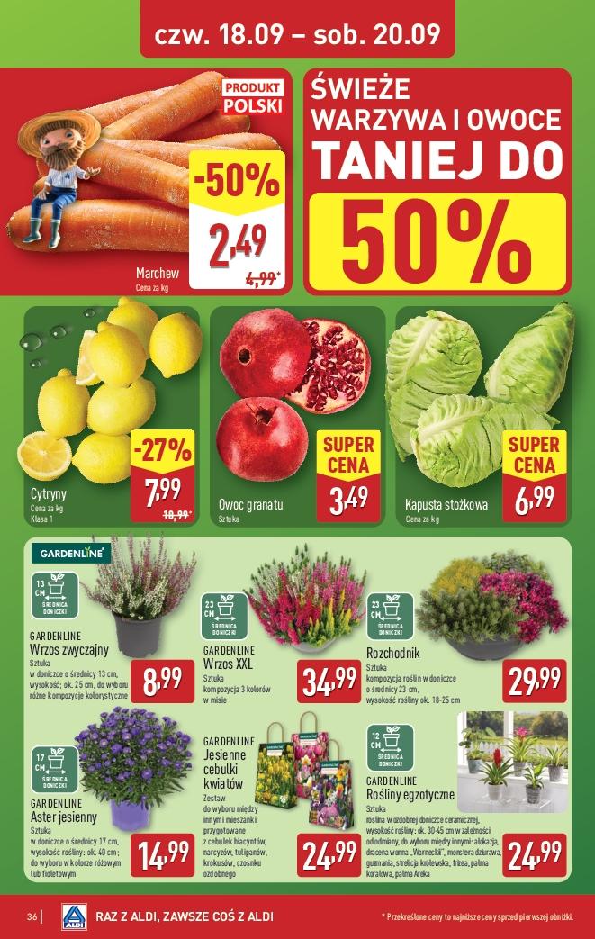 Gazetka promocyjna ALDI do 20/09/2025 str.36