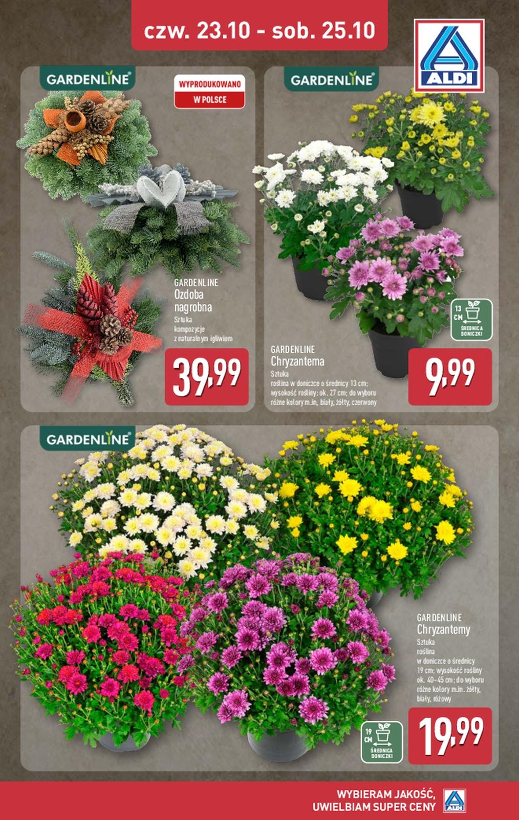 Gazetka promocyjna ALDI do 25/10/2025 str.1