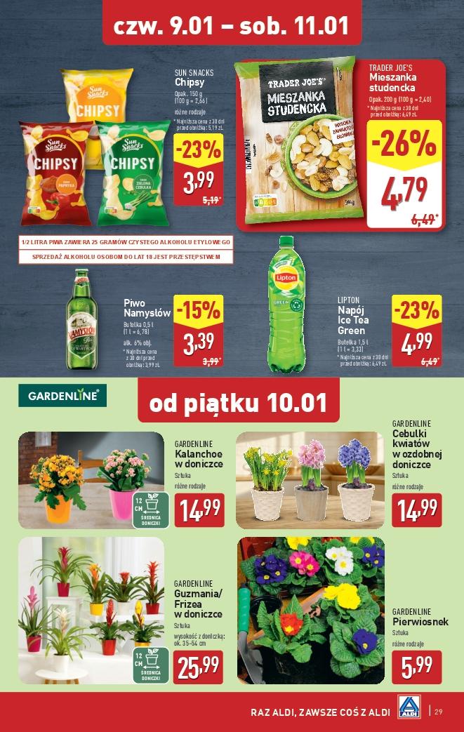 Gazetka promocyjna ALDI do 11/01/2025 str.29